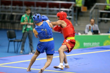 اوجاقی: ترکیب اعزامی به بازی‌های آسیایی نهایی شده/ ووشو ایران همیشه پرچمداری کرده است